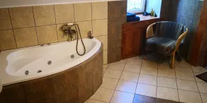 If you Want to Explore Lower Silesia, Sunny Apartment is the Perfect Location - Badeværelse