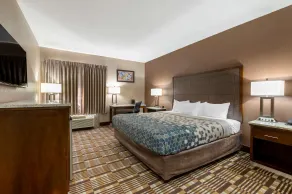Econo Lodge Shelbyville North - Room