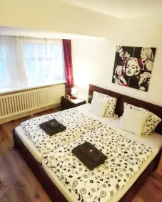 Pension Zum Burggrafen - Room