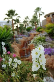 Renaissance Sharm El Sheikh Golden View Beach Resort - Vue de la chambre