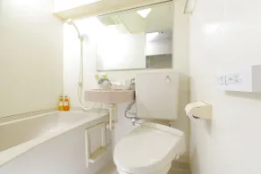FLEXSTAY INN Shinurayasu - Salle de bain