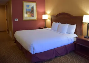 DoubleTree by Hilton Asheville - Biltmore - Chambre