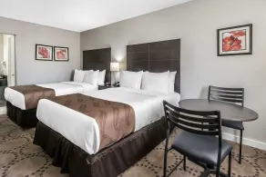 Quality Inn & Suites Kissimmee near Main Gate - Rom
