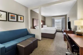 Comfort Suites Goodlettsville Rivergate - Chambre