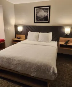 Best Western Buffalo Inn & Suites - Chambre