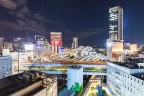 Sotetsu Hotels The Splaisir Yokohama - View from room
