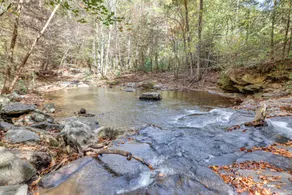 Forest-view Gem on Vaughn Creek < 1 Mi to Dtwn! - Innenbereich