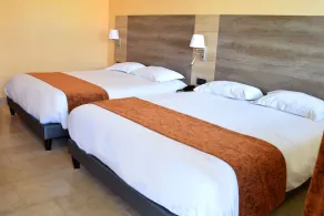 Logis Hôtel Des Sources - Chambre