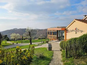 Winery, Restaurant & Pension Vuglec Breg - View from room