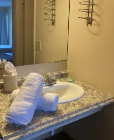 Altamonte Springs Hotel and Suites - Salle de bain