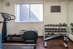 Comfort Inn Fergus Falls - Fitnessfaciliteter