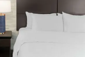Hampton Inn & Suites Denver Tech Center - Chambre