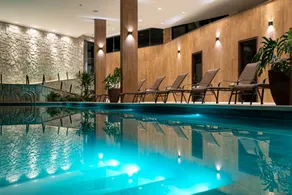 Vert Hotel Penedo - Basseng