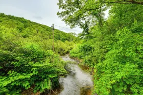 Mtn-view Deck & Grill: Creekside Catskills Cabin! - Innenbereich
