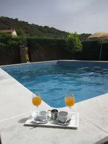 Posada el Camino Almonaster - Pool