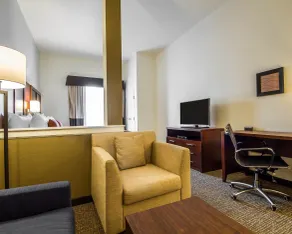 Comfort Suites Woodland - Sacramento Airport - Chambre