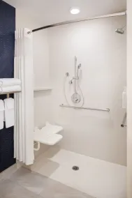 Fairfield Inn & Suites by Marriott Fresno North/Shaw Avenue - Badeværelse