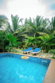 White Truffle Resort, Arambol - Pool