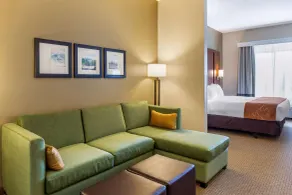 Comfort Suites Lancaster Amish Country - Chambre