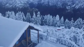 Bluepoppy Resort Auli - Værelse