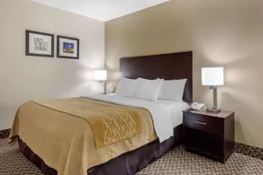 Comfort Inn Horn Lake - Southhaven - Chambre