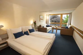 Hotel Kreuz Lenk - Værelse