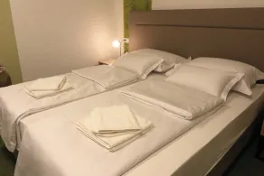 VINOTEL BRZICA Aljmaš - Værelse