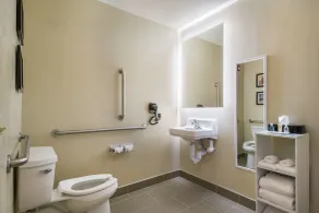 Comfort Inn & Suites Harrisburg - Hershey West - Salle de bain