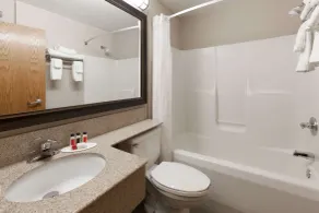 Baymont by Wyndham Gaylord - Salle de bain