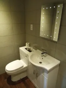 The Griffin - Baño
