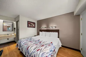 Red Roof Inn Dallas - DFW Airport North - Chambre