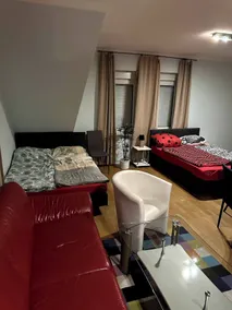 Large apartment for 3-10 people near Halle and Leipzig - Room
