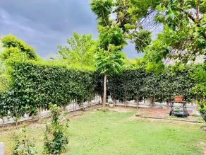 Spring Gardens and Farmstay - Vue de la chambre