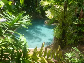 Palm Cove Tropic Apartments - Piscina
