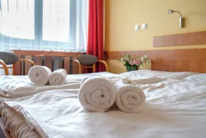 ibis Styles Relax Roznov pod Radhostem - Habitación