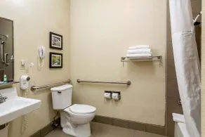 Comfort Inn & Suites - Hannibal - Salle de bain