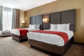 Comfort Inn & Suites Millbrook-Prattville - Chambre