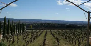 Château de Valloubière - Ausblick vom Zimmer