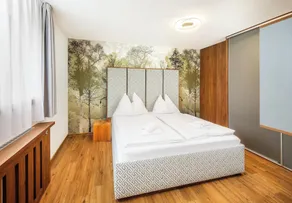 Wellness Sporthotel Zátoň - Adults only - Chambre