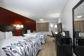 Red Roof Inn Bloomington - Normal/University - Chambre