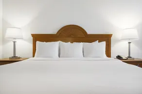 Thousand Hills Resort Hotel - Room