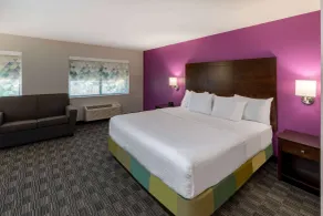 La Quinta by Wyndham Houston NW Brookhollow - Room