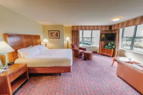 Hilton Garden Inn Manchester Downtown - Chambre