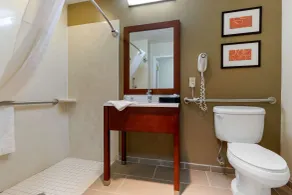 Comfort Inn & Suites Cordele - Salle de bain