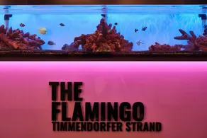 The Flamingo - Réception