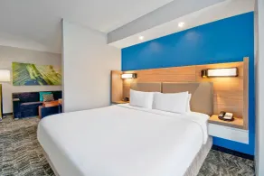 SpringHill Suites By Marriott Erie - Chambre