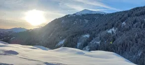 Gasthaus Bellawiese - Vue de la chambre