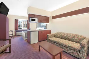 Microtel Inn & Suites by Wyndham Hamburg - Room