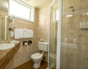 The Midcity Motor Lodge - Room