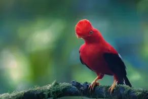 Refugio Paz de las Aves - Senderismo